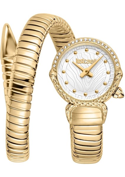 Just Cavallı JC1L350M0025 Kadın Kol Saati