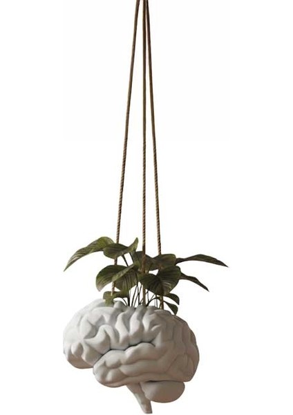 Dekoratif Beyin Saksı