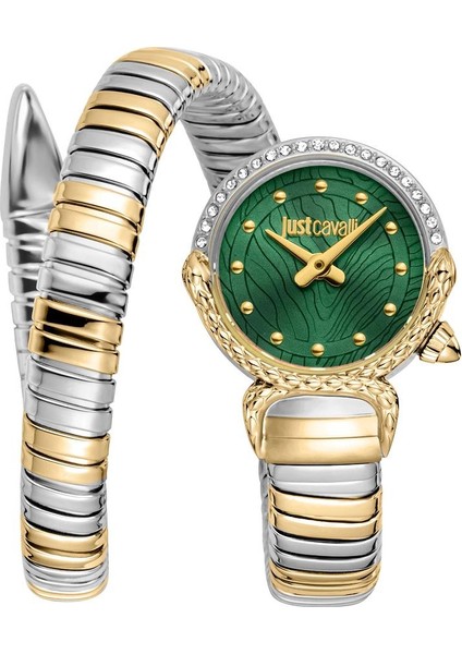 Just Cavallı JC1L350M0065 Kadın Kol Saati
