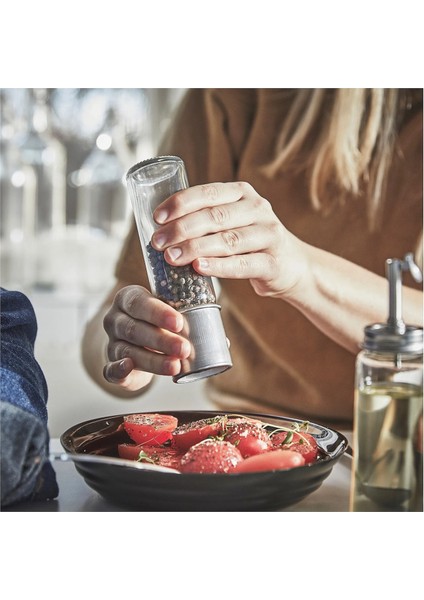 Cıtronhaj Baharat Öğütücü Cam Paslanmaz Çelik 15 cm fiyatları