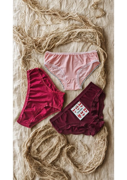 Kadın Penye Esnek Külot 3 Lü Paket S-M Beden fiyatları