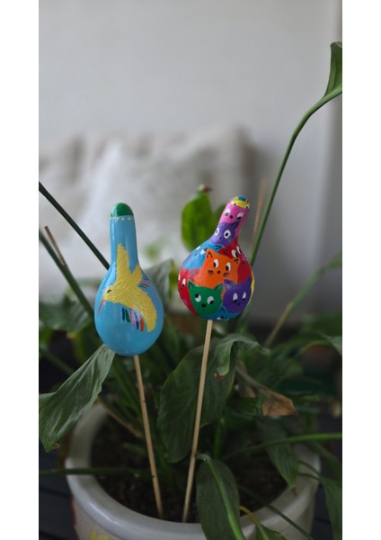 Su Kabağı Saksı Süsü