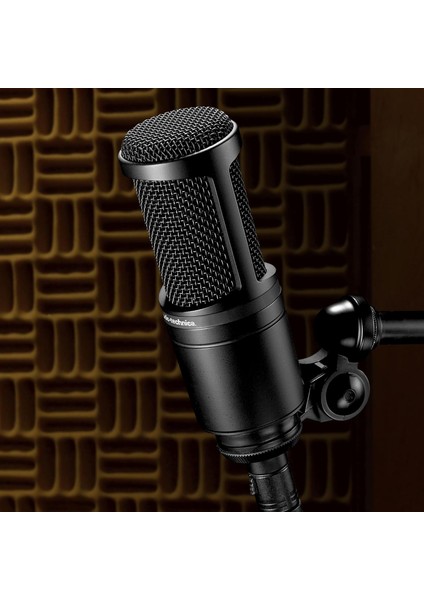 AT2020 Cardioid Kondenser Geniş Diyaframlı Mikrofon indirimleri