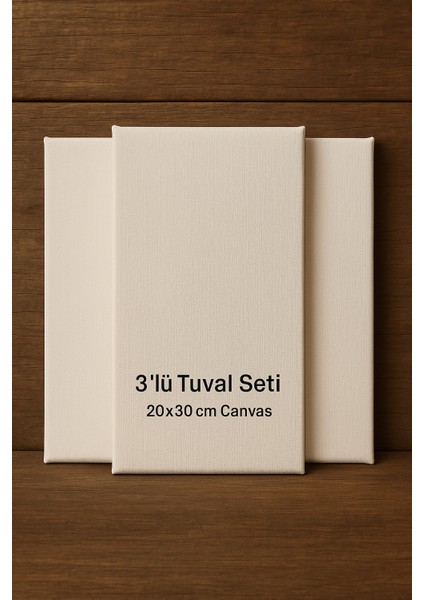 Tuval Seti,3 ADET20X30CM Tüval Resim Ressam Seti