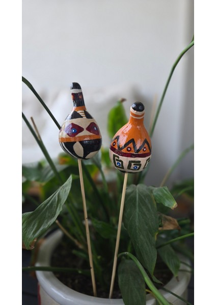 Su Kabağı Saksı Süsü