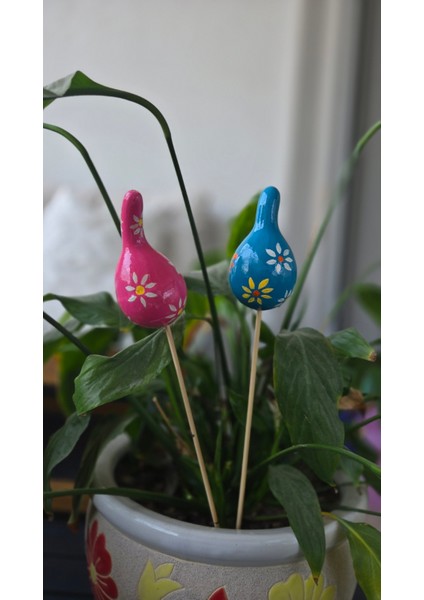 Su Kabağı Saksı Süsü