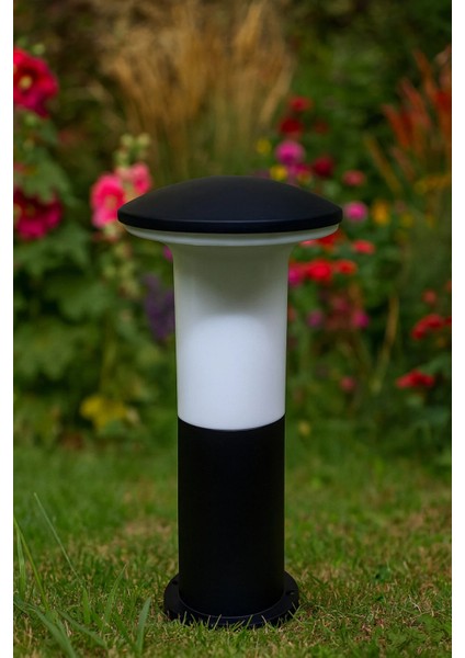 Bahçe Set Üstü Mantar