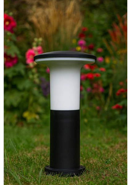 Bahçe Set Üstü Mantar fiyatları