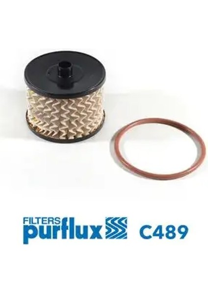 C489 Yakit Filtresi 1318563 190689 190690