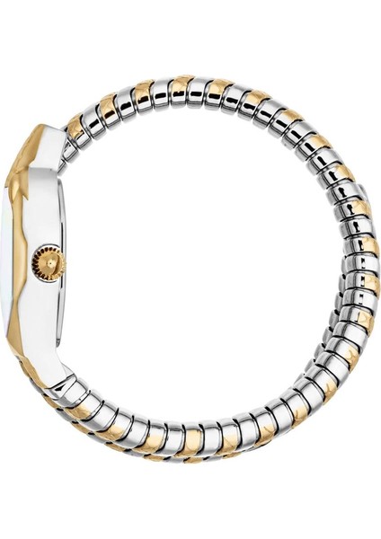 Just Cavallı JC1L369M0065 Kadın Kol Saati fiyatları