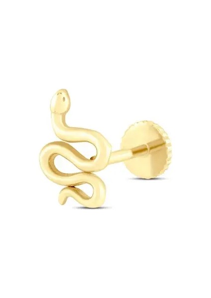 Yılan Piercing-Tragus fırsatları