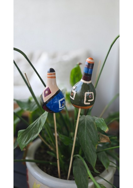 Su Kabağı Saksı Süsü