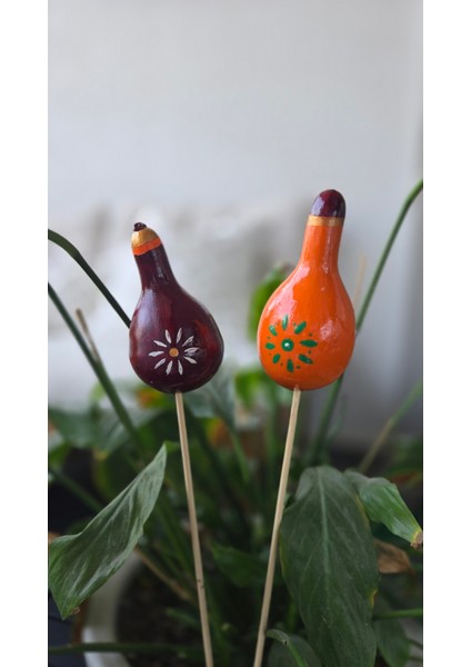 Su Kabağı Saksı Süsü