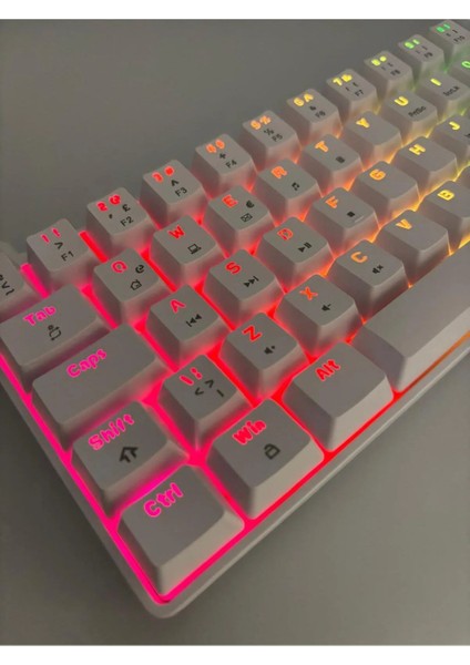 T60 Beyaz Renk Mavi Switch Rgb Mekanik Kablolu Driverli Oyuncu Klavyesi T60 Mini Türkçe Q Klavye modelleri