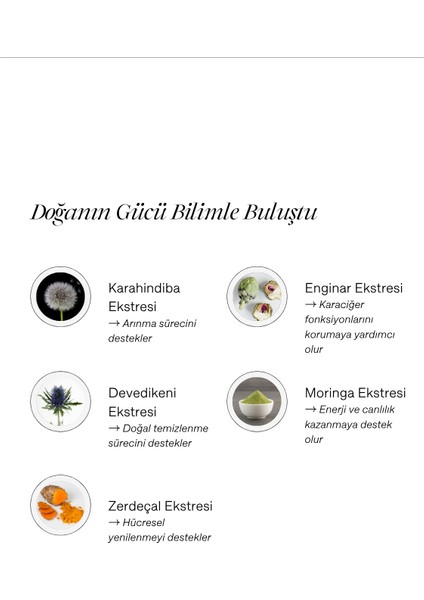 Reset Button Karahindiba, Enginar, Devedikeni, Moringa ve Zerdeçal İçeren Takviye Edici Gıda (Detox&Skin) modelleri