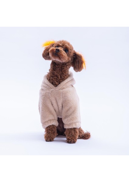 Bej Lucca Teddy Hoodie Ayı Kulaklı Peluş Köpek Kıyafeti Kedi Kıyafeti Köpek Sweati fırsatları