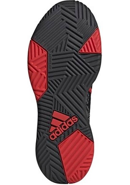 Erkek Basketbol Ayakkabısı H00471