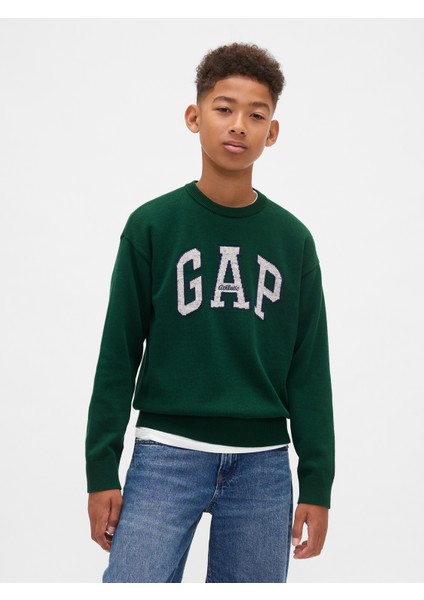 Erkek Çocuk Yeşil Gap Logo Intarsia Kazak