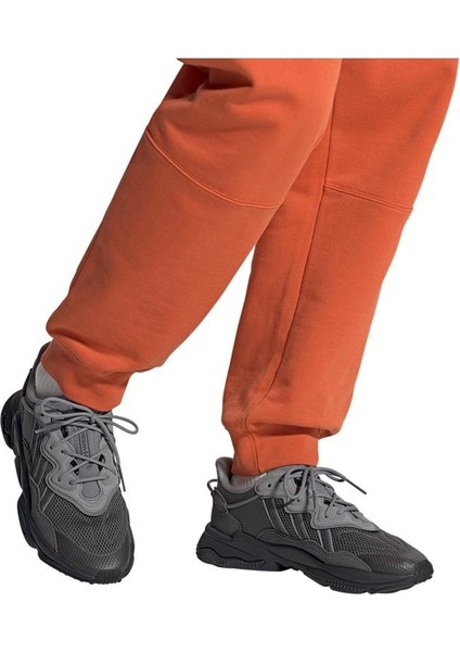 Ozweego Erkek Gri Spor Ayakkabı (ID9818)