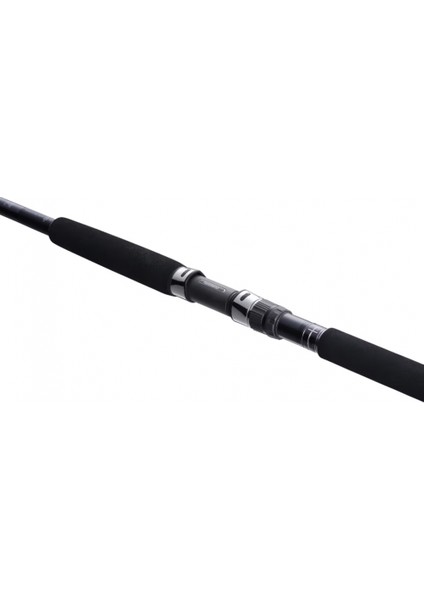 Currentsniper Xr S96H 2,90M 9'6" 100G JIG120G 2pc modelleri