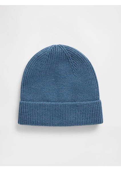 Erkek Mavi Ribanalı Bere