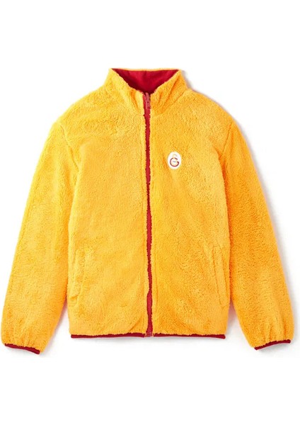 Galatasaray Çift Taraflı Ceket E242245 fiyatları