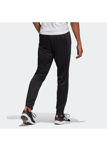 Performance GT5567 AEROREADY Designed 2 Move Sport Pants fırsatları