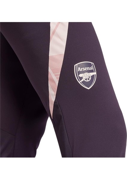 Afc Tr Pnt Erkek Mor Eşofman Altı JF2916