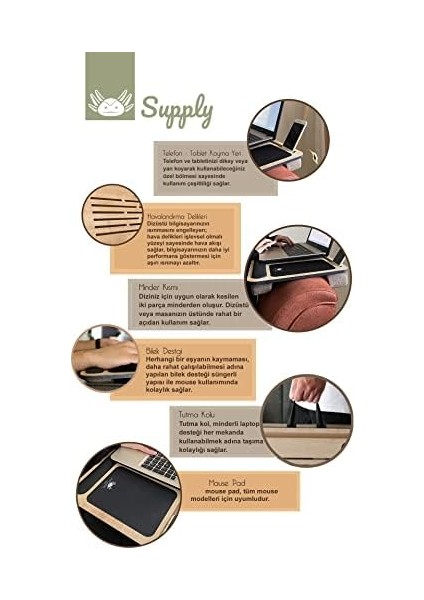 Axolotl Telefon ve Tablet Bölmeli Minderli Laptop Sehpası Notebook Bilgisayar Çalışma Masası, Antik Meşe fiyatları