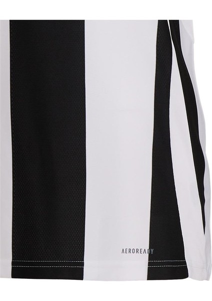 STRIPED 24 JSY Erkek Forma IW2143