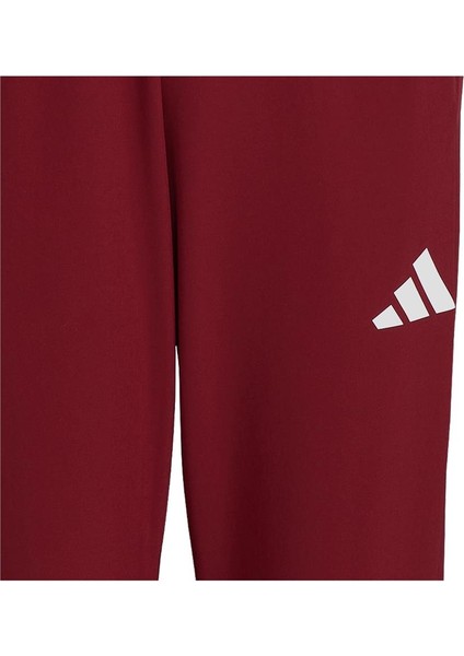 TURKIYE P PNT M Erkek Eşofman Altı JH0784