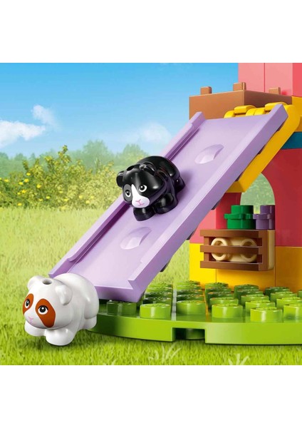 Nessiworld Friends Ginepig Oyun Parkı 42640 fiyatları