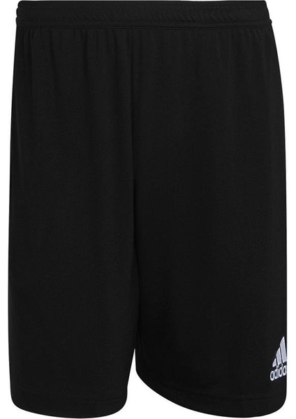 ENT22 TR SHO Erkek Şort HB0575