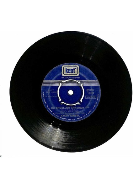 Aydın Tansel - Çisil Çisil Yağmur Bu Engeller Arasında Plak (107) PLK18448 fiyatları