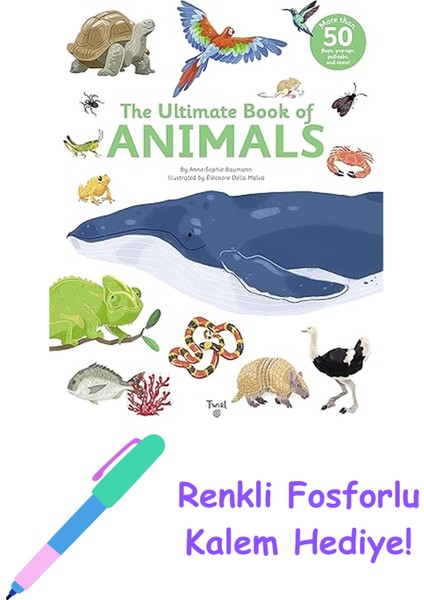 The Ultimate Book Of Vehicles: From Around The World: 1 + Fosforlu Kalem Hediye