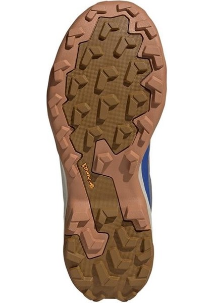 Erkek Gri Bot TERREX SKYCHASER AX5 GTX JQ2212