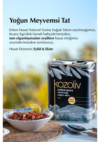 2024-25 Erken Hasat Soğuk Sıkım Zeytinyağı 2 Lt fiyatları