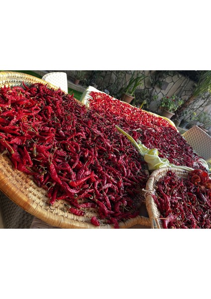 Extra Acı Çekilmiş Süs Biberi (150 Gr) modelleri