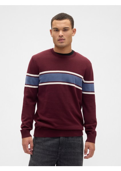 Erkek Kırmızı Çizgili Bisiklet Yaka Kazak