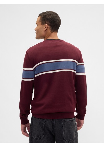 Erkek Kırmızı Çizgili Bisiklet Yaka Kazak indirimleri