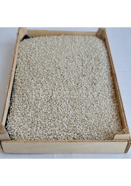 Ithal Beyaz Susam 25 kg fiyatları