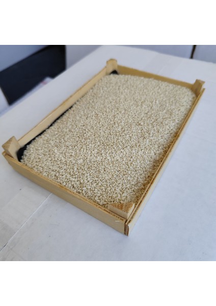 Ithal Beyaz Susam 25 kg modelleri