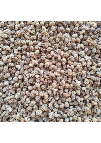 Özel Beyaz Dut Kurusu 13 kg fırsatları