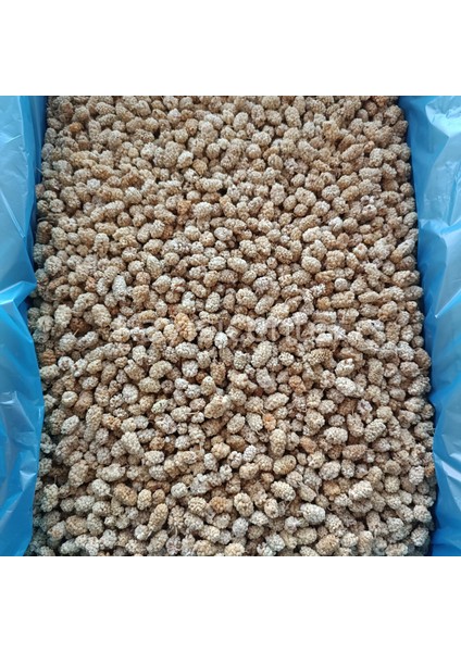 Pütürge Lüks Dut Kurusu 10 kg