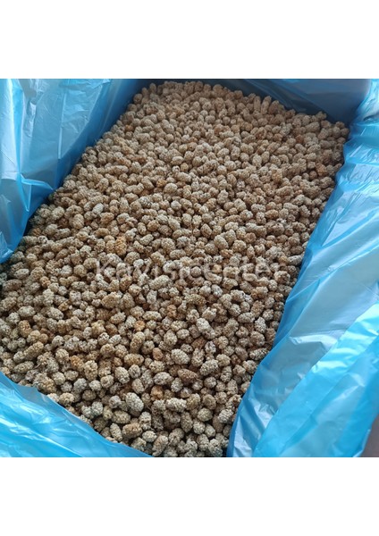 Pütürge Lüks Dut Kurusu 10 kg fiyatları