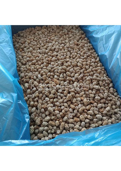 Pütürge Lüks Dut Kurusu 10 kg modelleri