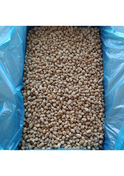 Pütürge Lüks Dut Kurusu 10 kg fırsatları