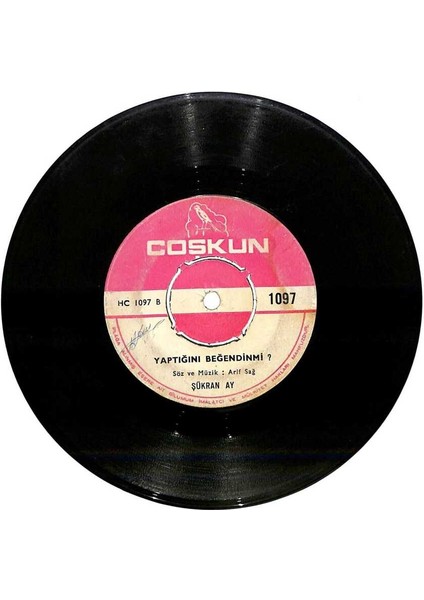 Şükran Ay - Yaptığını Beğendinmi Acı Izdırap Plak (106.5) PLK21332 fiyatları