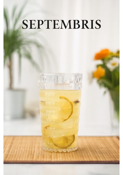 Şeffaf Akrilik Bardak 750 ml – Kırılmaya Dayanıklı Cam Görünümlü Tekli Bardak