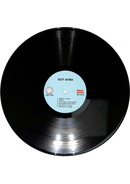 Recep Kaymak - Bağlandı Yollarım Lp Plak (107.5) PLK21923 modelleri